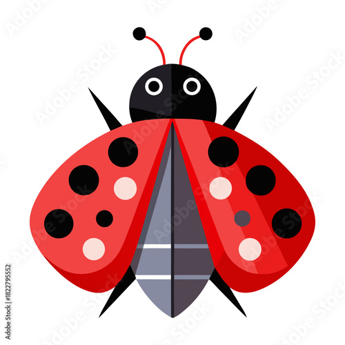Geometric ladybug illustration with gray segmented abdomen and red spotted elytra insect beetle