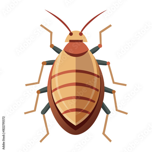 Flat Illustration of a Yellowish- Brown Bed Bug with Striped Abdomen Keywords: bed bug, insect, pest, parasite, bug, arthropod, creepy-crawly