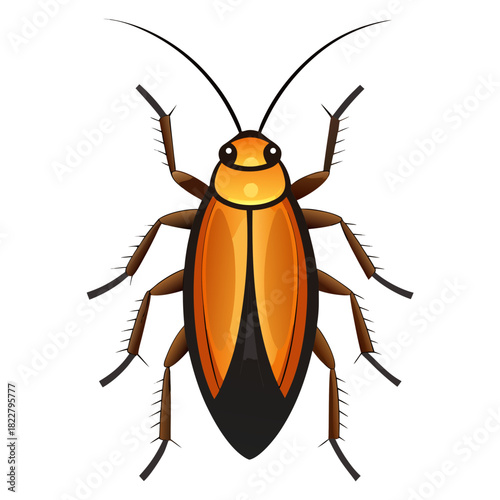 Orange and Black Cockroach Insect Illustration on White Background pest creepy crawly