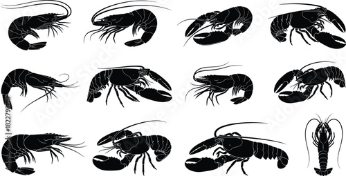 Set of black and white vector silhouettes featuring various edible crustaceans including shrimp, prawns, and lobsters, ideal for food menus, seafood markets, 