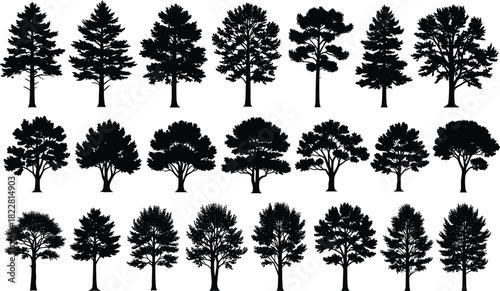 Set of various deciduous and coniferous tree silhouettes black vector collection isolated on white background for architectural landscape map design elements graphic