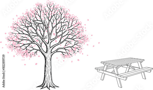 Vector illustration of a large blooming cherry tree with pink petals falling next to an empty wooden picnic table, symbolizing spring, nature, and outdoor leisure