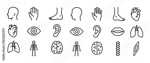 Medical line icons set: anatomy and human body parts symbols