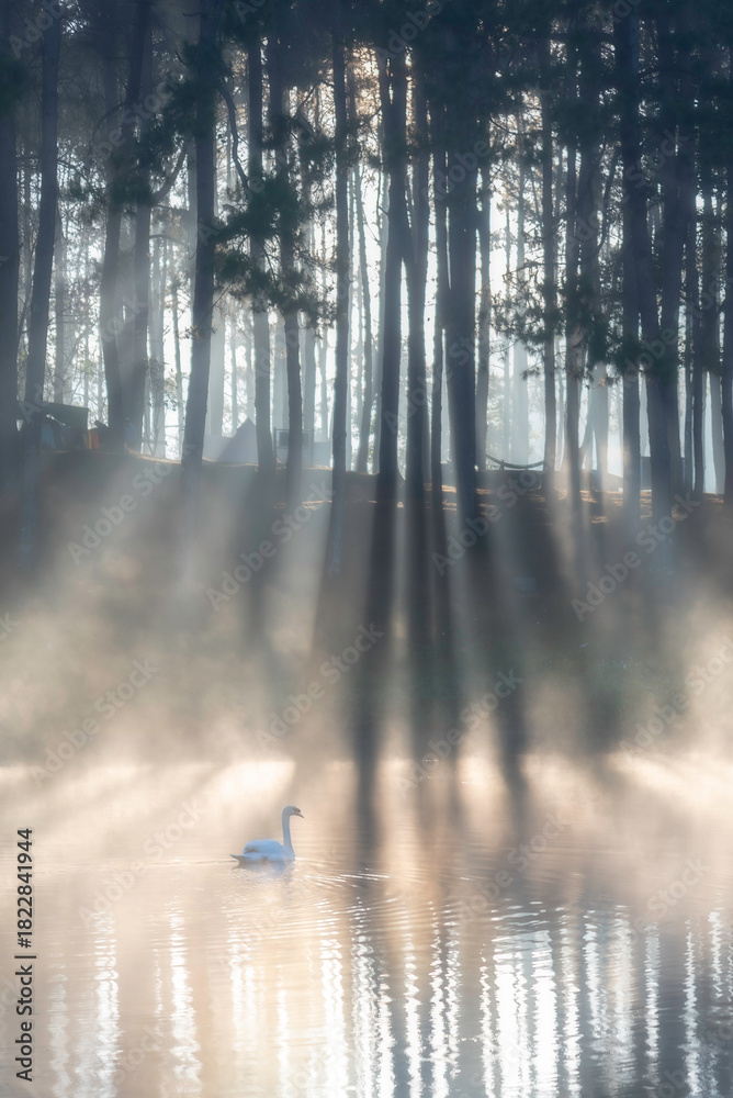 Fototapeta premium Picture of Pang Ung Lake in the morning, fog and sunlight hitting the water surface and there are tourist boats in the lake.