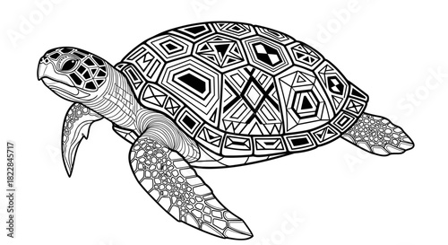 Detailed sea turtle illustration with geometric shell pattern for educational coloring book pages