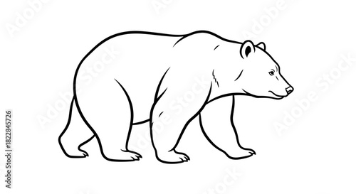 Majestic bear graphic for nature projects, wildlife education, or conservation campaigns, vector