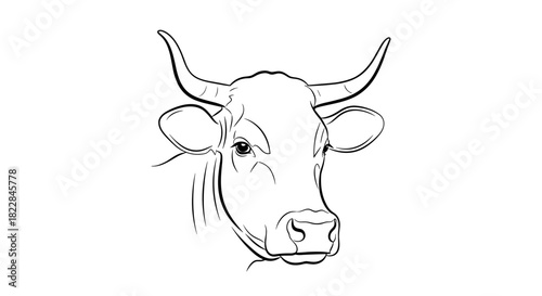 Elegant line drawing of a bull's head for artistic designs, agricultural projects, and branding needs