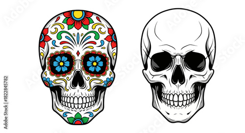 Day of the Dead Sugar Skull vs Realistic Skull Vector Graphic Comparison