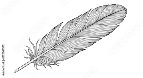 Detailed quill pen, elegant black and white feather illustration for vintage design projects