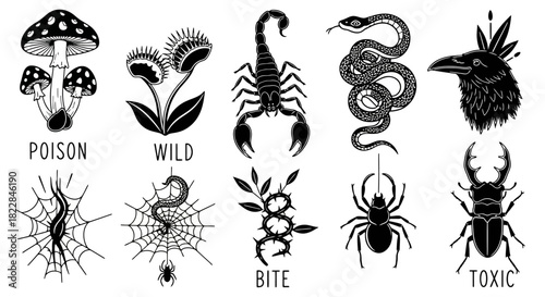 Gothic Illustration Set Dangerous Creatures Plants Symbols for Tattoo Halloween Occult Design
