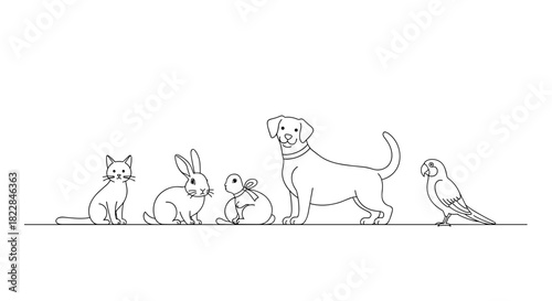 Adorable pets lineup ready for adoption, showcasing cat, rabbit, turtle, dog, and parrot