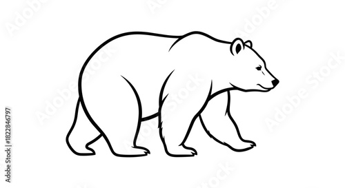 Majestic bear outline illustration, perfect for wildlife projects, nature designs, and educational resources