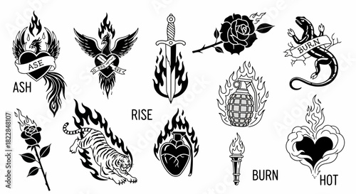 Phoenix Rising From Ashes Burning Rose Flaming Tiger Sword Grenade Gecko Torch Heart Designs For Tattoo Stickers Vector Art