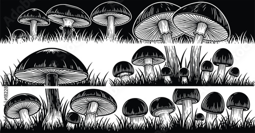 Set of black and white seamless horizontal borders with various mushrooms growing in grass, vintage engraved illustration design elements for nature and organic food decoration.