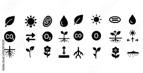 Collection of environmental and botanical icons representing natural elements and processes