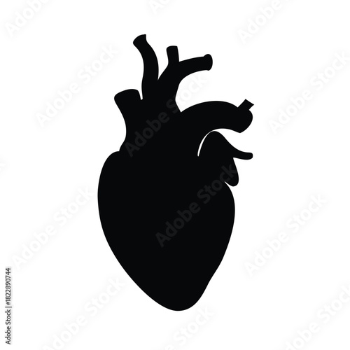 A black silhouette of a human heart against a white background.