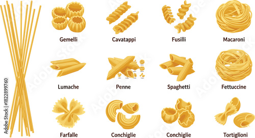 Big collection of italian pasta shapes featuring spaghetti penne fusilli and farfalle dry food ingredients vector illustration isolated on white background set