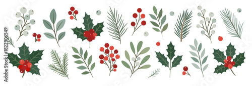 Set of festive winter vector plants. Decorative collection of holly, mistletoe, pine branches, and red berries for Christmas, holiday, and seasonal greeting card design.