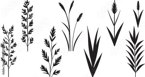 Set of botanical grass and wheat silhouettes with leaves, stems, sprigs, and natural plant illustrations