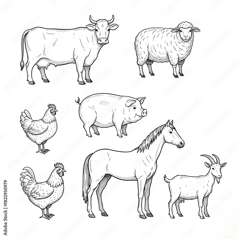 Fototapeta premium Hand-Drawn Farm Animals Collection