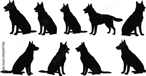 German Shepherd dog silhouettes, black and white, sitting, standing, walking poses, canine illustration, posture study, pet design, working dog art