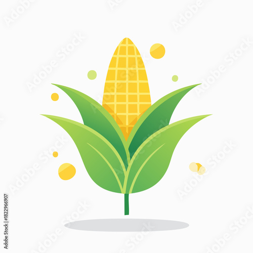 Fresh Corn on the Cob with Green Leaves Illustration.