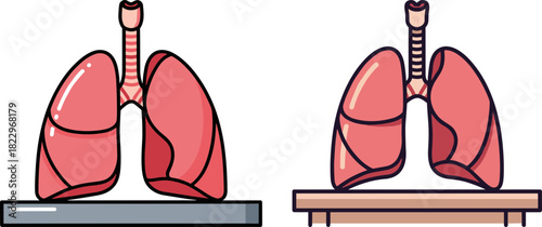 Illustration of human lungs on a table and a platform with detailed features on a transparent background for medical and educational purposes