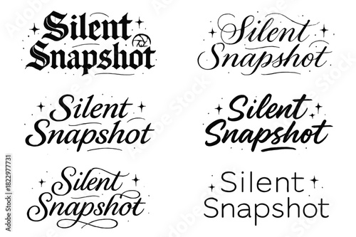 Silent Snapshot Calligraphy. Silent Snapshot. Create a calligraphy lettering illustration of the phrase: