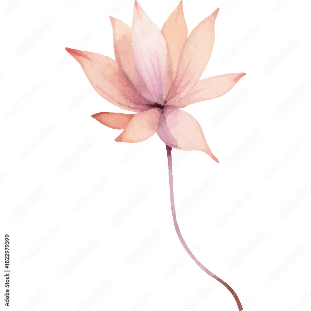 Fototapeta premium Delicate Peach Colored Lotus Flower with a Slender Stem Isolated on a Transparent Background Watercolor Style