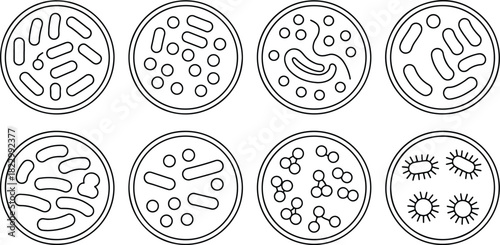 Petri dish microorganism culture black and white line art