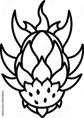 Dragon fruit line art illustration Vector