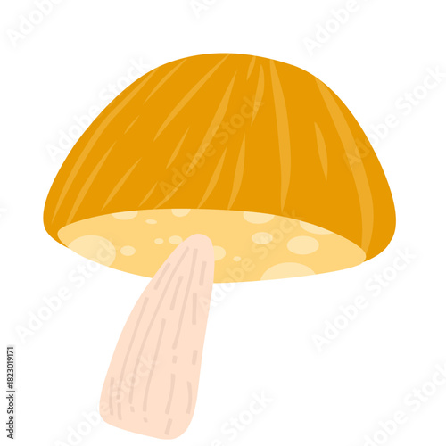 Whimsical orange mushroom graphic isolated on white background, simple nature element