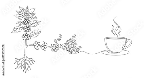 Line drawing of coffee cup with steam and coffee plant on white background