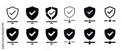 Set of twelve security shields with check marks in various styles
