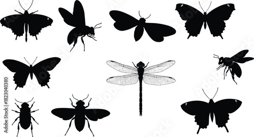 Insect silhouettes, butterfly wings, dragonfly outline, bee design, wasp insect, beetle shape, moth silhouette, entomology study, insect collection, nature illustration