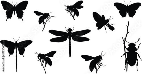 Insect silhouettes, butterfly wings, dragonfly shape, bee outline, wasp design, beetle insect, entomology study, insect collection, nature illustration, wildlife art