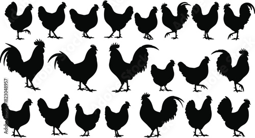 Large collection of chicken and rooster silhouettes in various poses for farm animal vector design, poultry illustration, and graphic artwork.