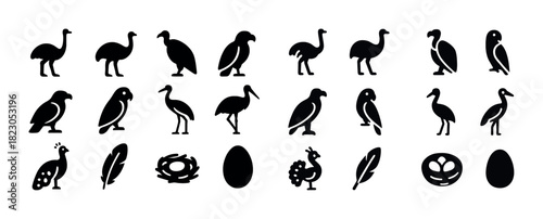 Collection of bird silhouettes: ostrich, vulture, stork, peacock, nest, egg, feather