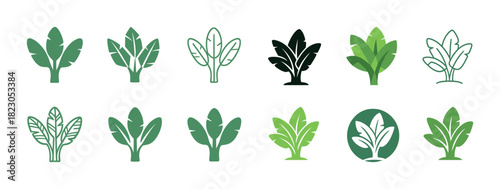 Variety of banana leaf icons in diverse green shades and styles