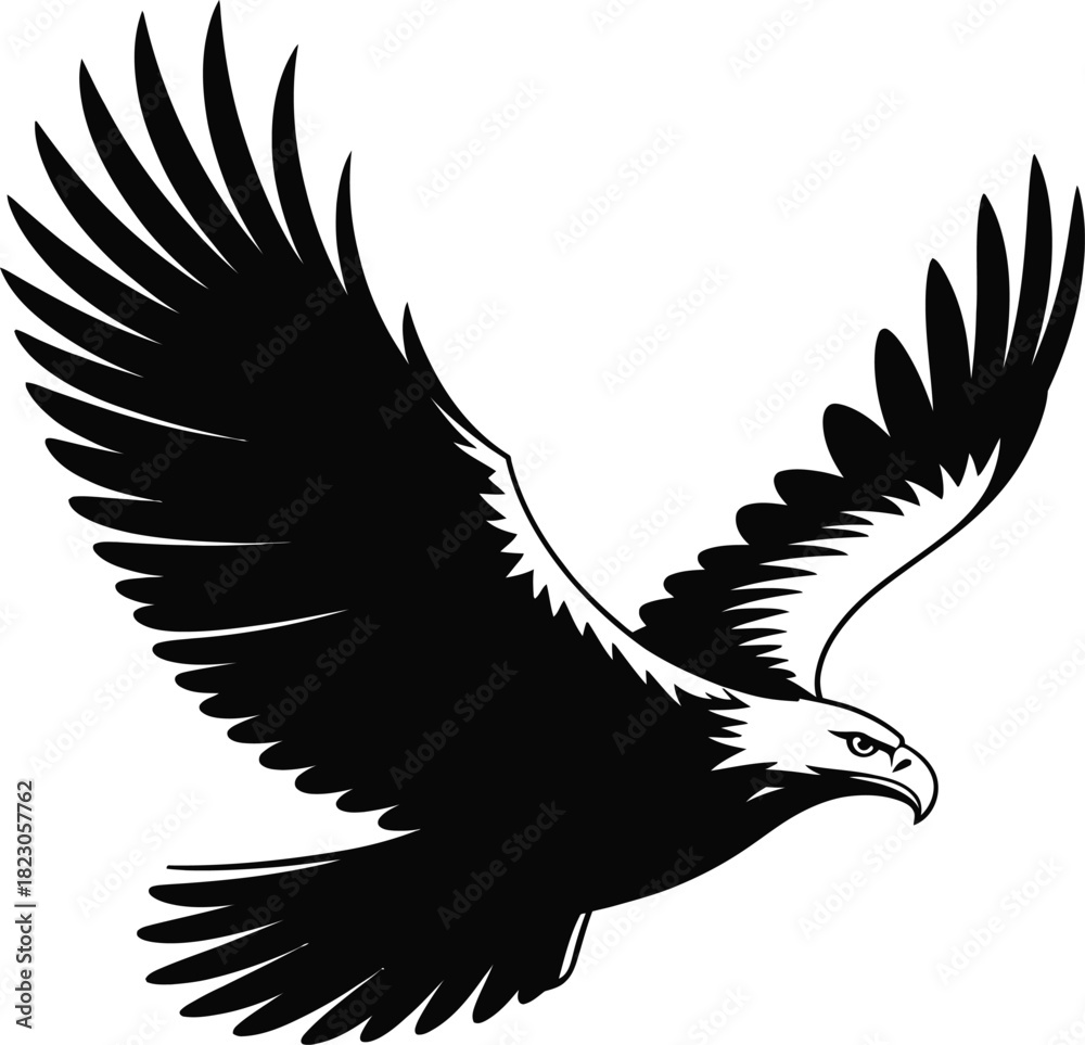 Fototapeta premium Black and white illustration of a flying eagle with detailed feathers
