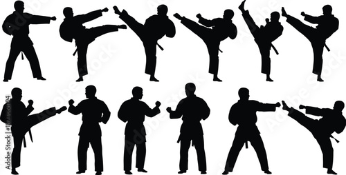 Martial arts silhouettes performing karate and taekwondo moves, athletes in action poses, combat sport illustration, fitness training design, vector artwork collection