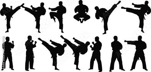 Martial arts silhouettes, karate, taekwondo, high kick, punch, defense, meditation, discipline, strength, balance, training, combat, action, pose, uniform, 