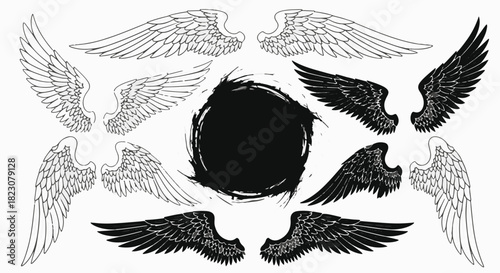Collection of stylized angel wings in black and white, surrounding a textured black circle. Various shapes and orientations.