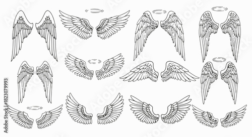 Collection of vector angel wings in various styles, some with halos. Line art. Simple, clean design. Black and white.