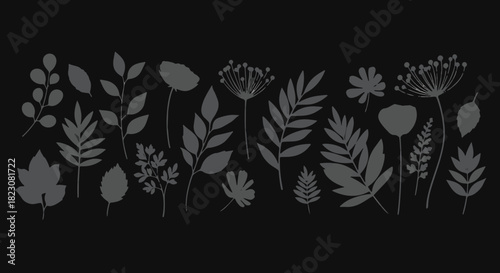 Silhouettes of various plants and flowers arranged in a row. Dark background. Minimalist, botanical, and elegant design.