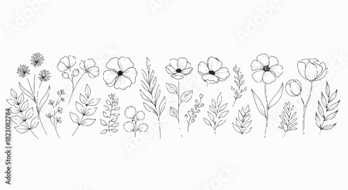 Line art illustration of assorted flowers and foliage. Delicate botanical design in black and white. Perfect for a minimalistic, elegant aesthetic.