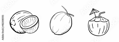 Simple line art illustration of coconuts including whole coconut, half-cut coconut, and coconut drink. Minimal outline design perfect for tropical themes, summer graphics, beverage branding