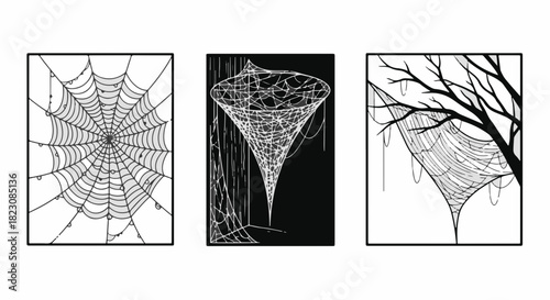 Three framed illustrations depict spiderwebs: a classic web, a funnel web, and a web draped over a tree branch, all in black and white line art.