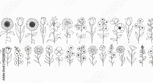 Black and white line art of diverse flowers arranged in two horizontal rows. A variety of floral species is represented.