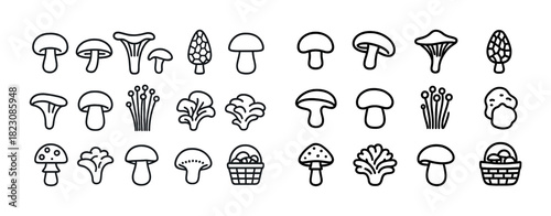 Hand-drawn mushroom icons collection with various mushroom types